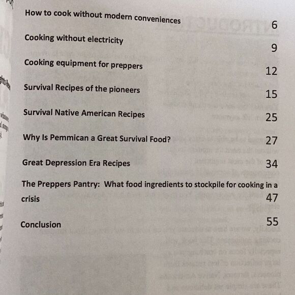 LOST RECIPES OF OUR ANCESTORS Learn How To Cook Without Electricity New Book - Picture 5 of 8